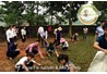 &#091;Tin tức&#093; Khoa Tài nguyên và Môi trường hưởng ứng tết trồng cây  xuân Quý Tỵ 2013