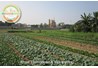 [Bài viết] Một số giải pháp phát triển nông nghiệp thành phố Thái Nguyên theo hướng nông nghiệp đô thị sinh thái