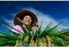 &#091;Sự kiện&#093; Ảnh phong cảnh Việt Nam tuyệt đẹp trên báo Nga
