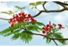 Thông báo tuyển sinh đại học ngành Khoa học và quản lý môi trường, năm 2012