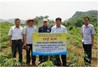 Bộ Nông nghiệp và Phát triển Nông thôn kiểm tra mô hình nhân giống sắn KM94, KM98-7