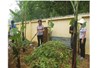 Xử lý nước thải sinh hoạt và rác thải bằng mô hình vòng tròn chuối