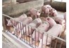Video của nhóm 6 lớp KN 42