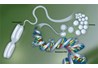 Phân tích định lượng tình trạng methyl hóa DNA toàn hệ gene trên khối u tuyến yên